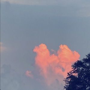 Meet your Posher, Graceland west